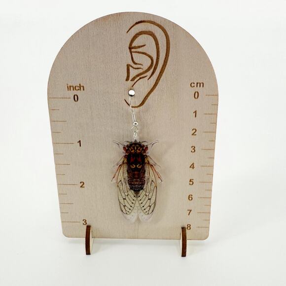 Cicada Earrings, Cicada Jewelry, Nature Inspired Earrings, Acrylic Earrings - Picture 4 of 4